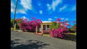 Charming house with 3 bedrooms and Ocean View, Gros Islet