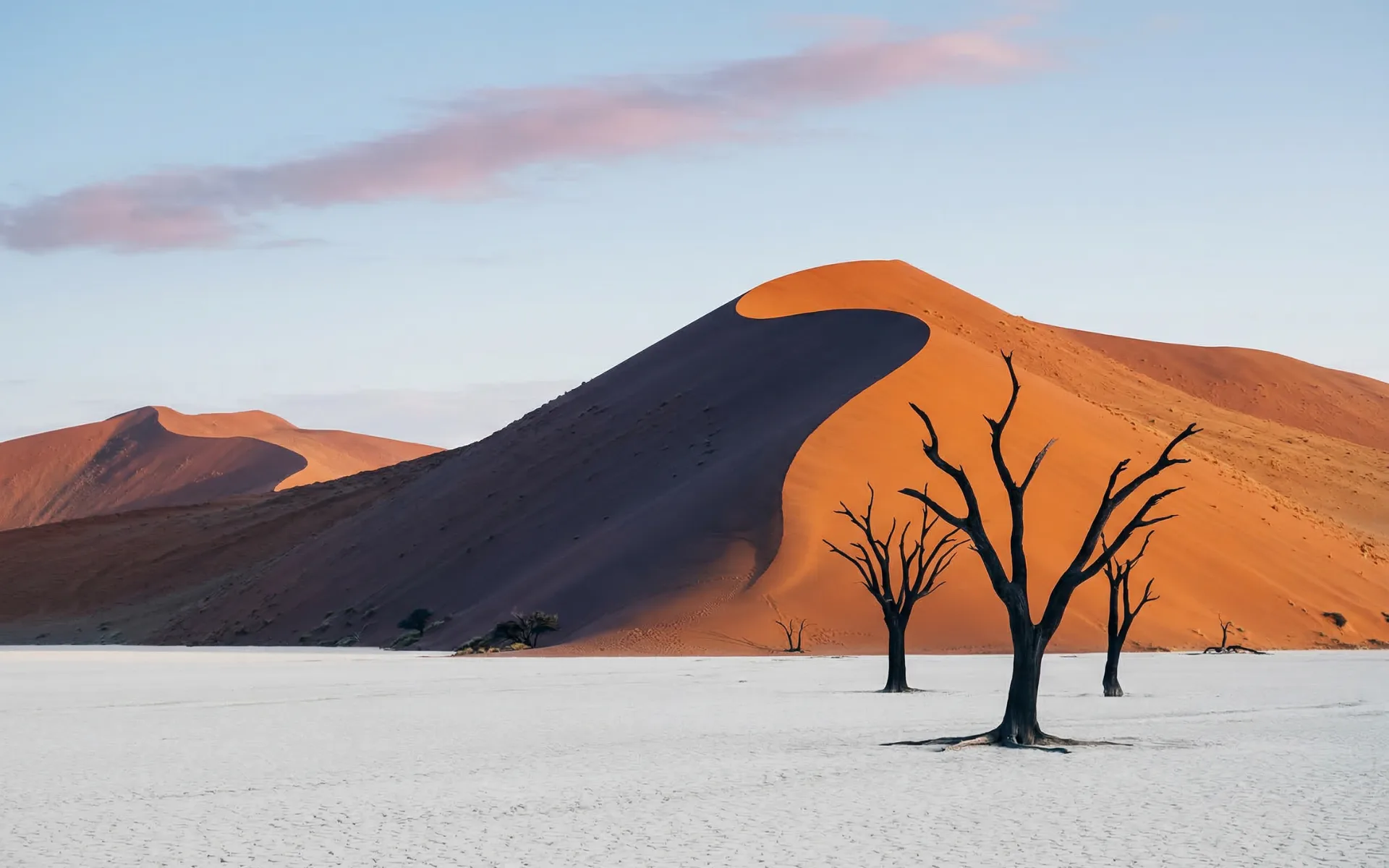 Namibia desert landscape and wildlife